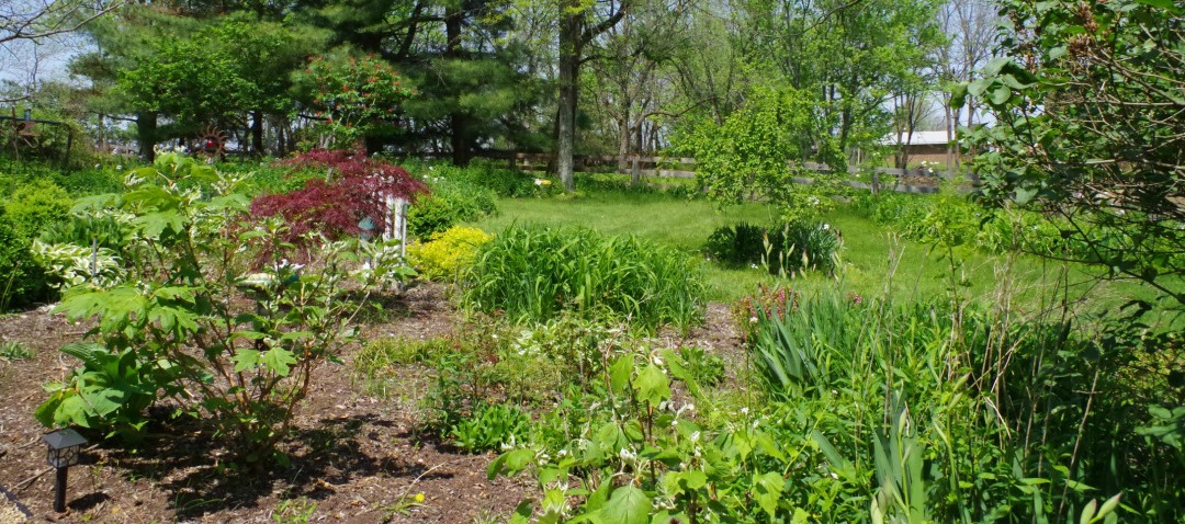 kitchen gardens cloudland retreat center