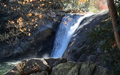 Roan Mountain Hymn of Praise